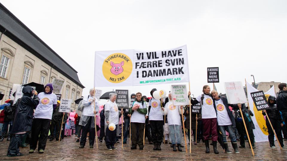 Tuse Næs til demo