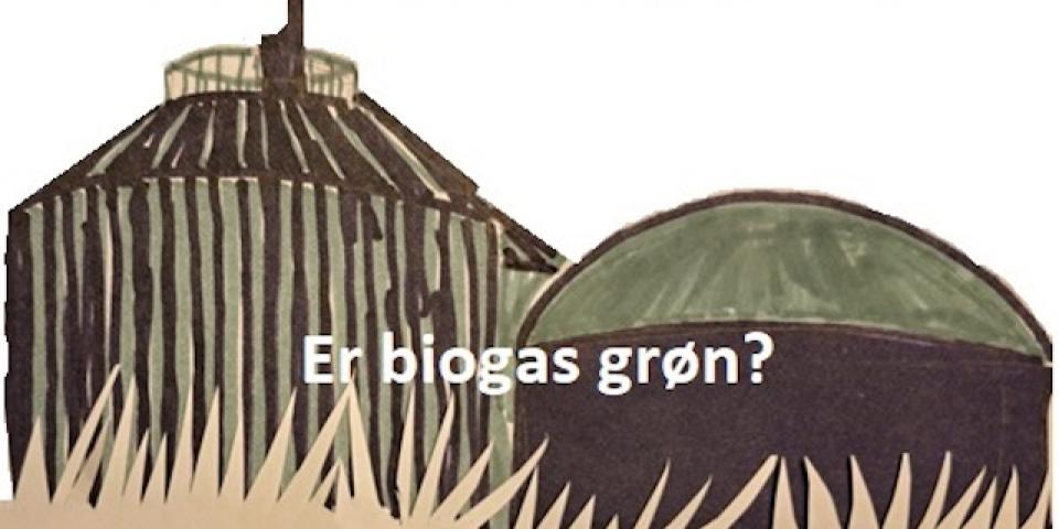 Er biogas grøn? 