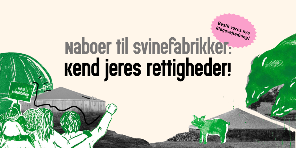 Naboer til svinefabrikker - kend jeres rettigheder